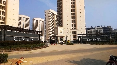 3 bhk flat for rent in Chintals Serenity